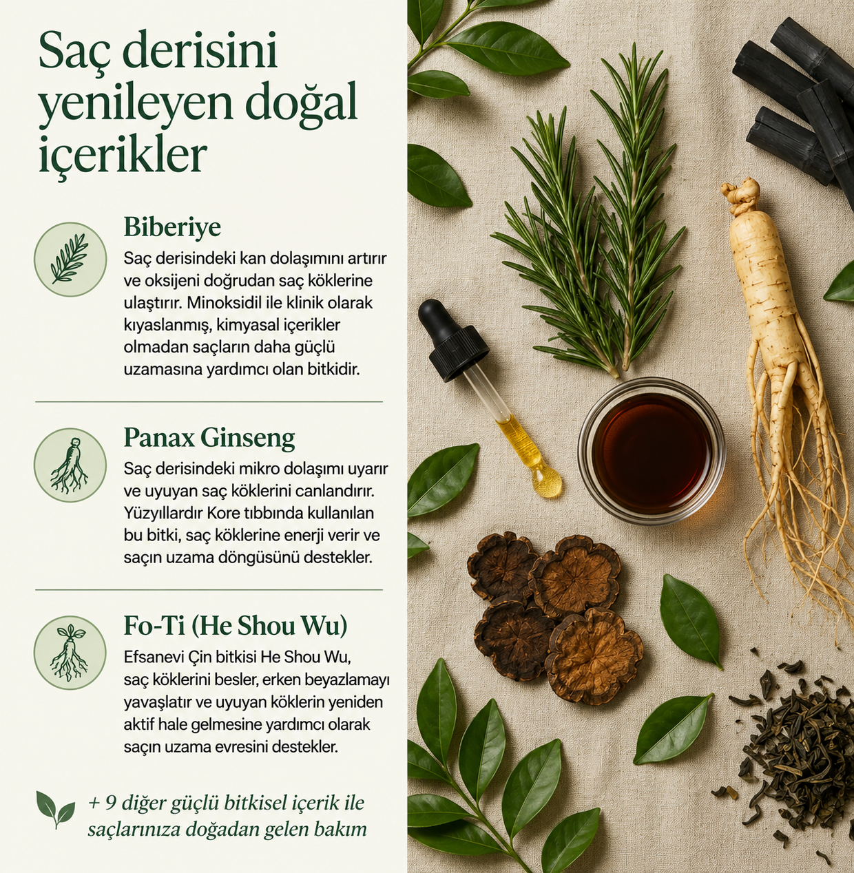 Purelix Kore Formülü Saç Canlandırma Barı